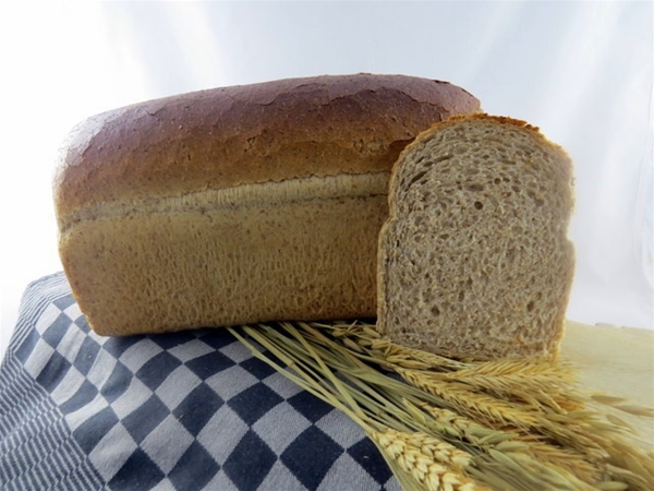 Bruinbrood