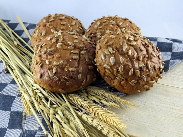 Zonnepit bollen