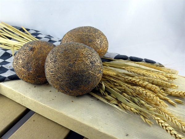 VG. harde bol maanzaad